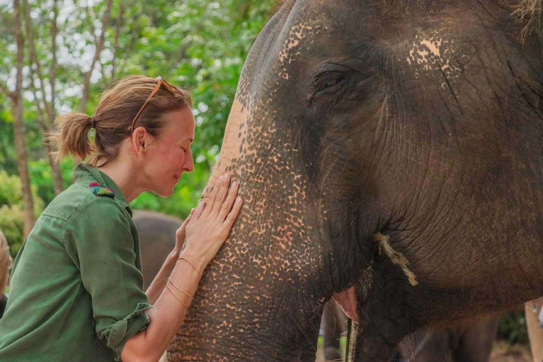 Green Elephant Sanctuary Park | Phuket - KKday