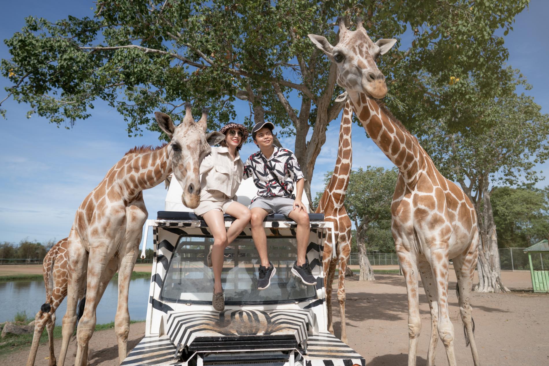 safari park kanchanaburi ticket