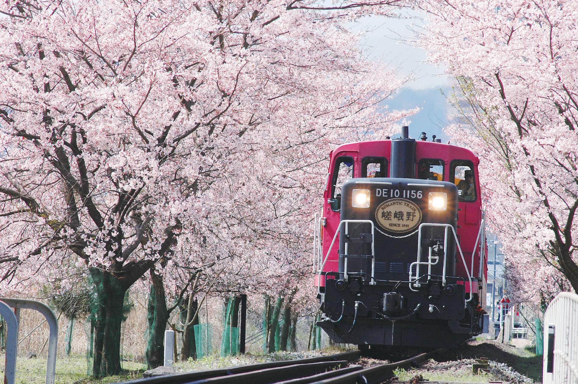 Day Tour Ngồi Tàu Hỏa Sagano Romantic Train Và Tham Quan Đền Fushimi Inari  (Từ Osaka) - KKday