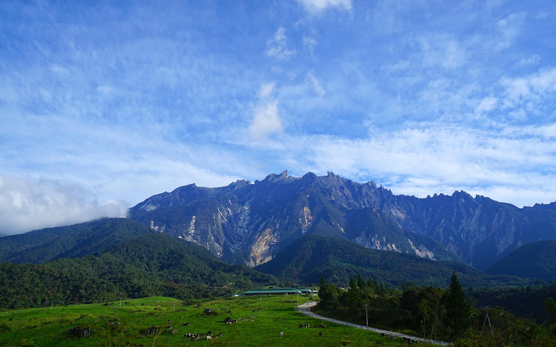 Mount Kinabalu Day Tour Kinabalu National Park Poring Hot Spring Canopy Walk Kkday