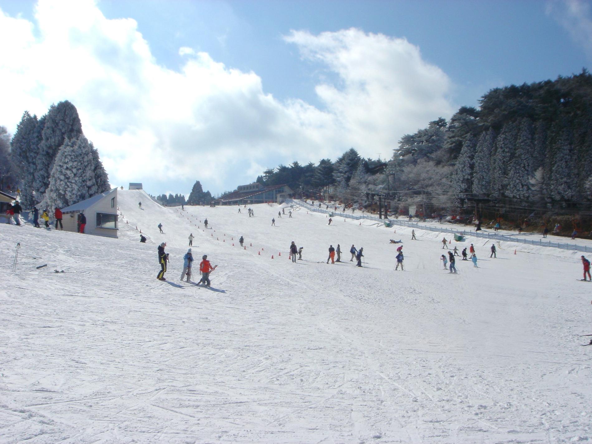 永遠の定番 六甲山スノーパーク 入園引換券 Www Anavara Com
