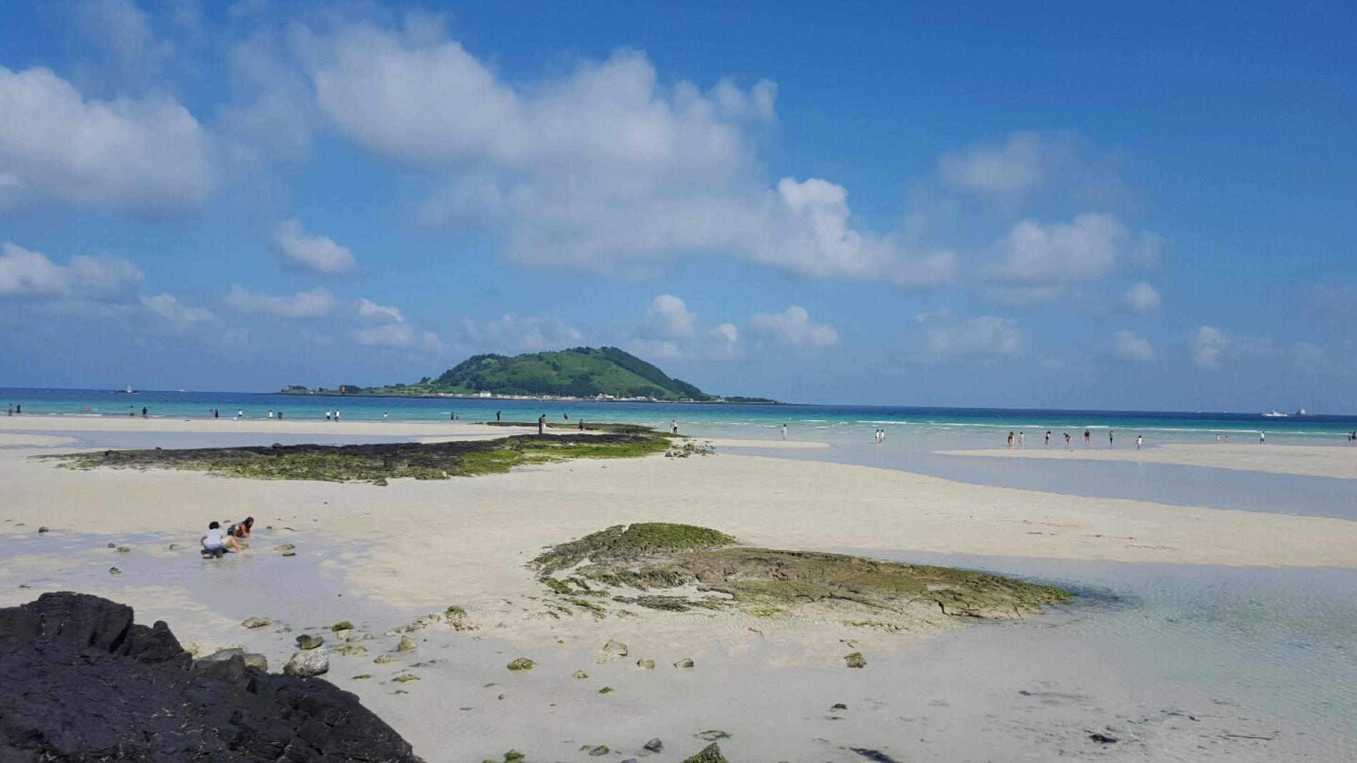 済州 チェジュ 島 西部エリアをめぐる1日ツアー テディベア ミュージアム 山房山 Kkday