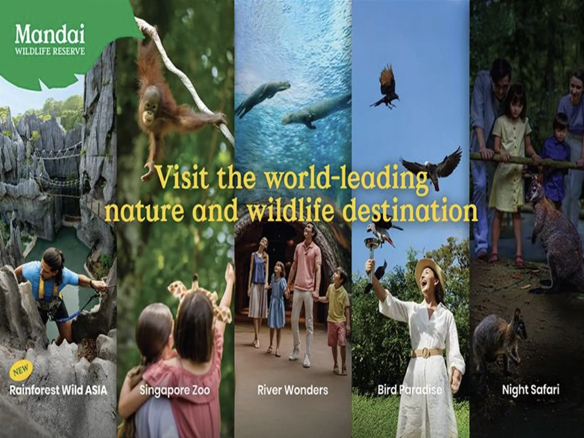 Mandai Wildlife Reserve: Multi-park Destination Passes | Night Safari,  Singapore Zoo, River Wonders, Bird Paradise & Rainforest Wild ASIA - KKday