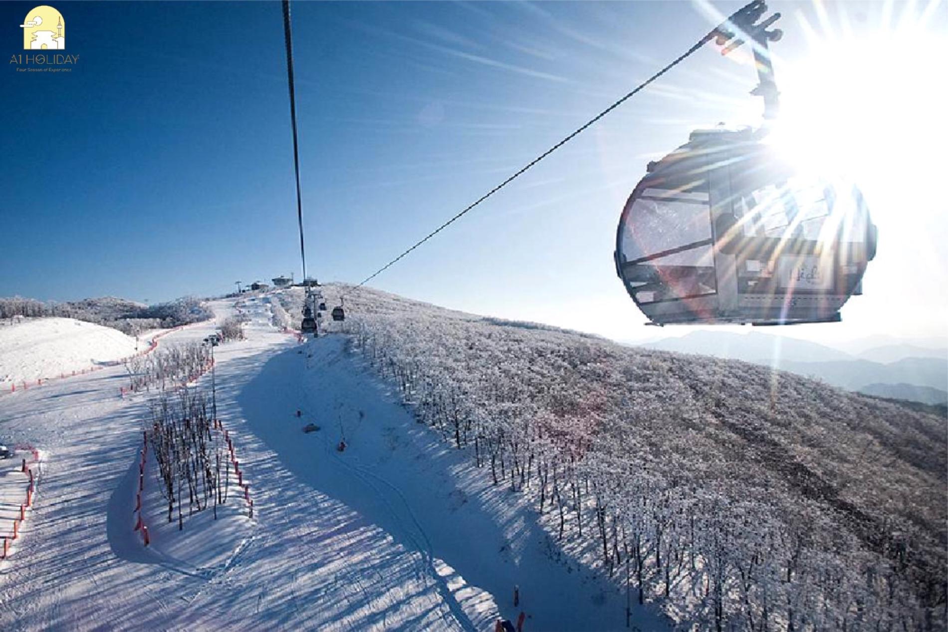 1 we ski. Горный воздух горнолыжный курорт. Курорт High 1 (Южная Корея. Канвондо горнолыжный курорт. Горный воздух Сахалин.