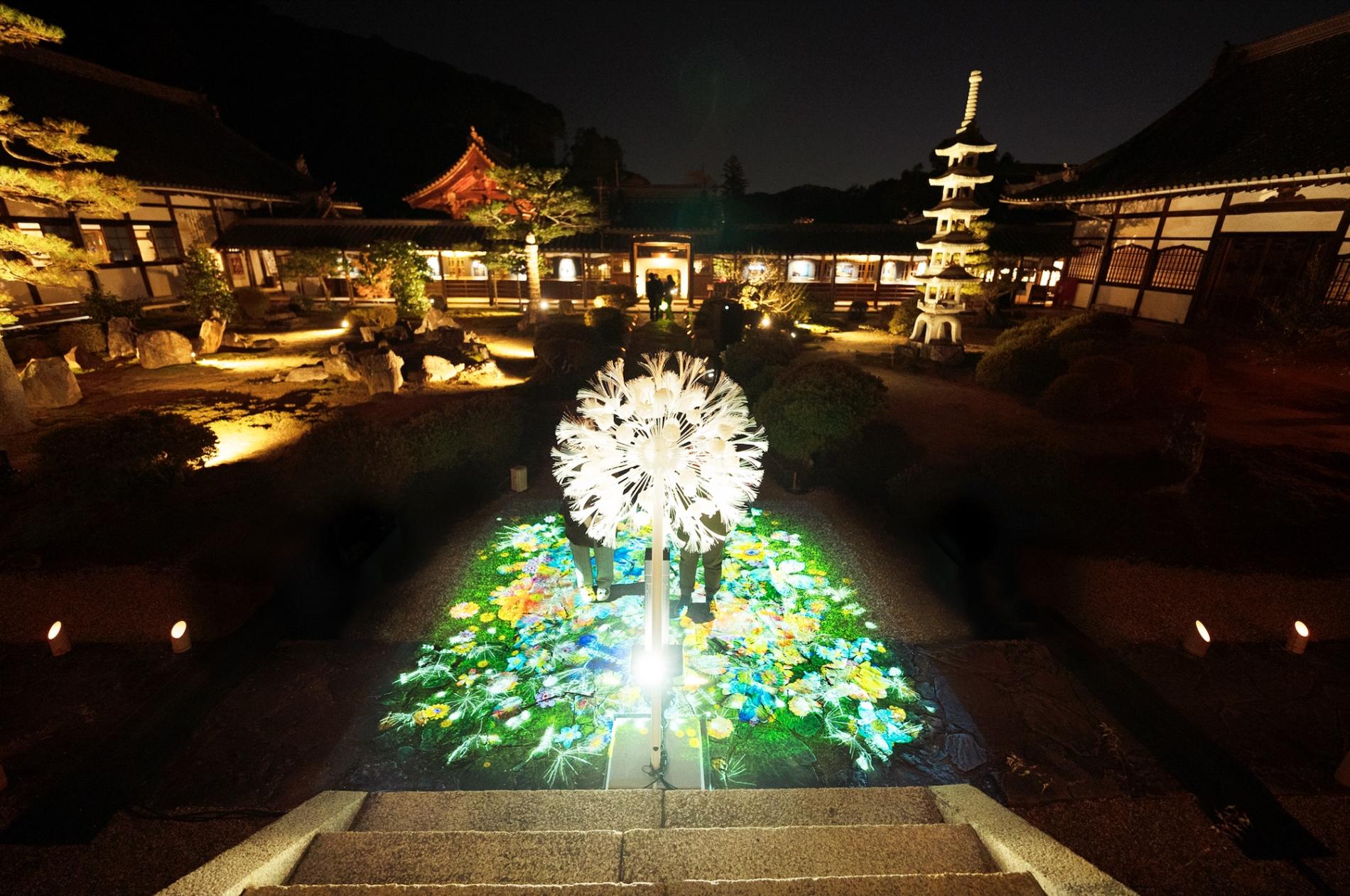 NAKED GARDEN ONE KYOTO 宇治 | 興聖寺夜間拝観チケット - KKday