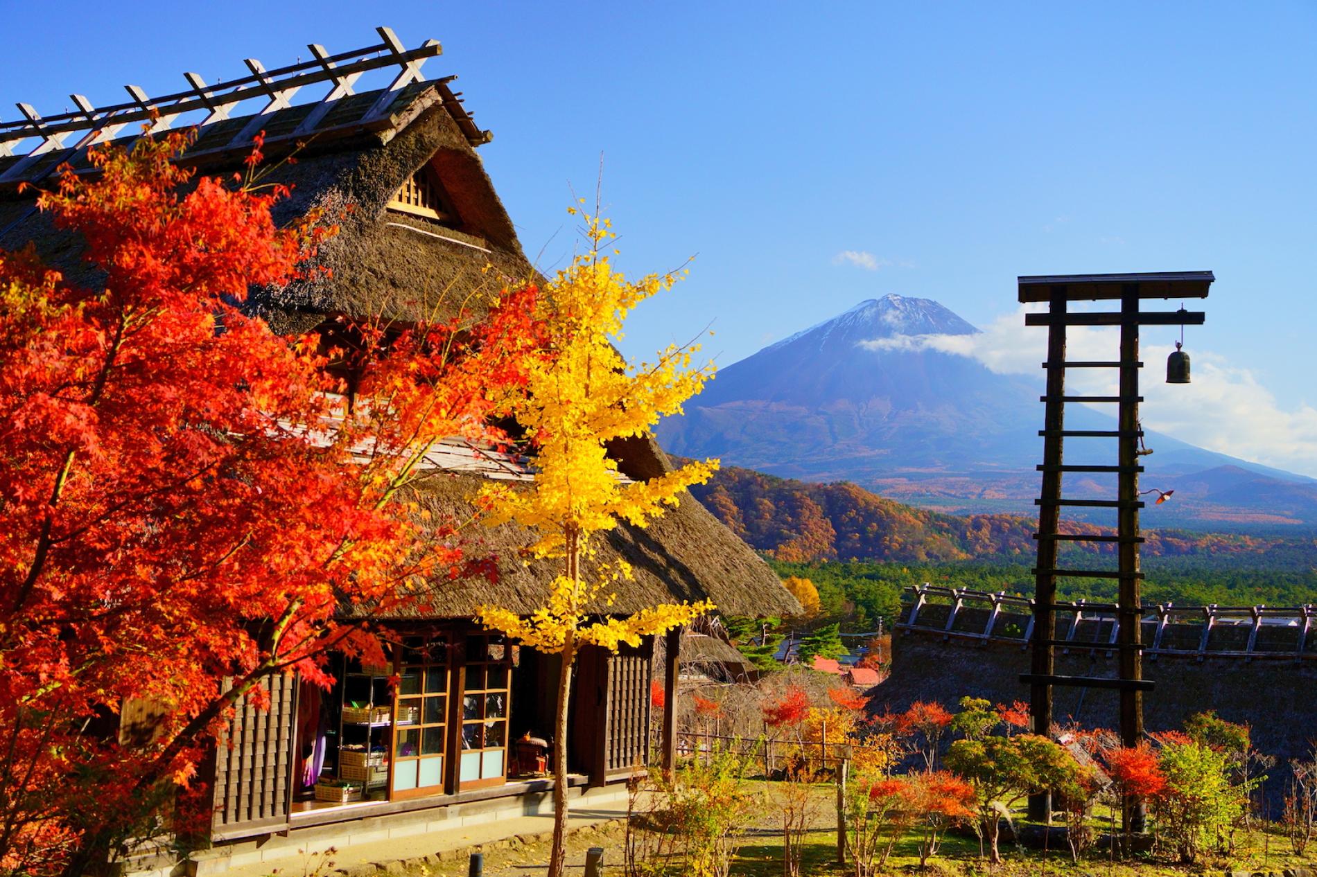 RAKUDA shina FARSHINA × OLD MOUNTAIN Mount Fuji Day Tour: Arakurayama Sengen Park & Oshino Hakkai