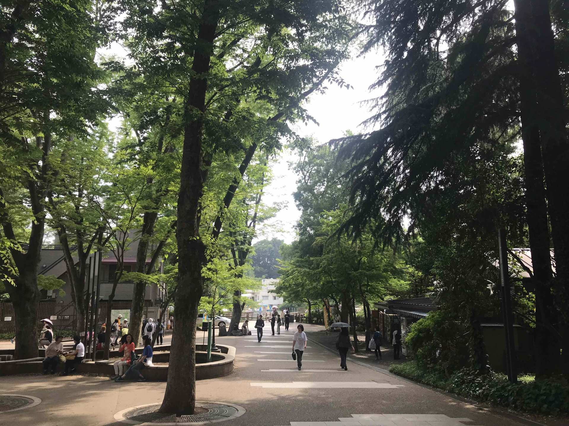 【保證入園】東京三鷹之森吉卜力美術館、井之頭公園 