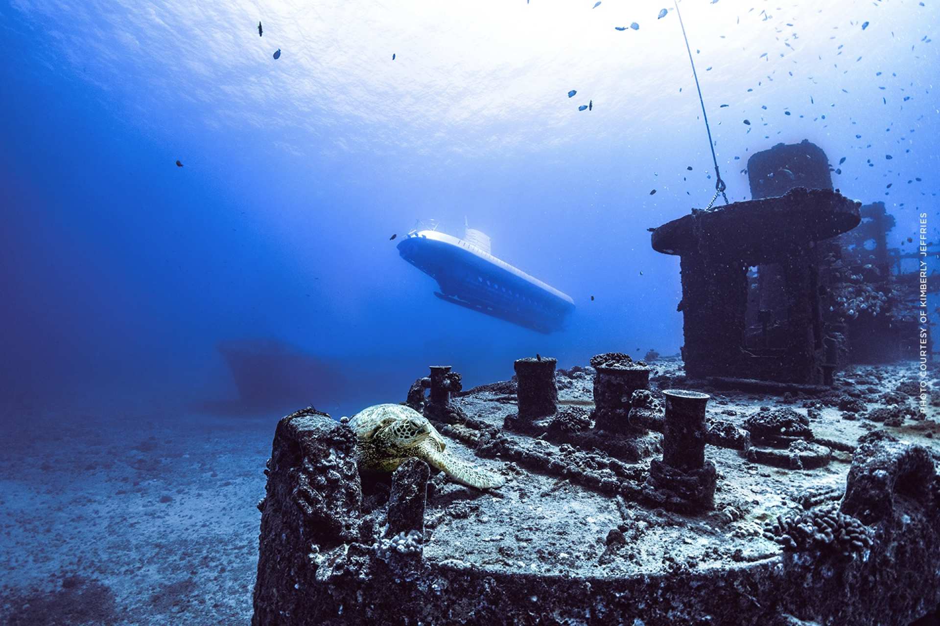  【探索海底世界】夏威夷歐胡島亞特蘭提斯潛水艇門票（含接送） 