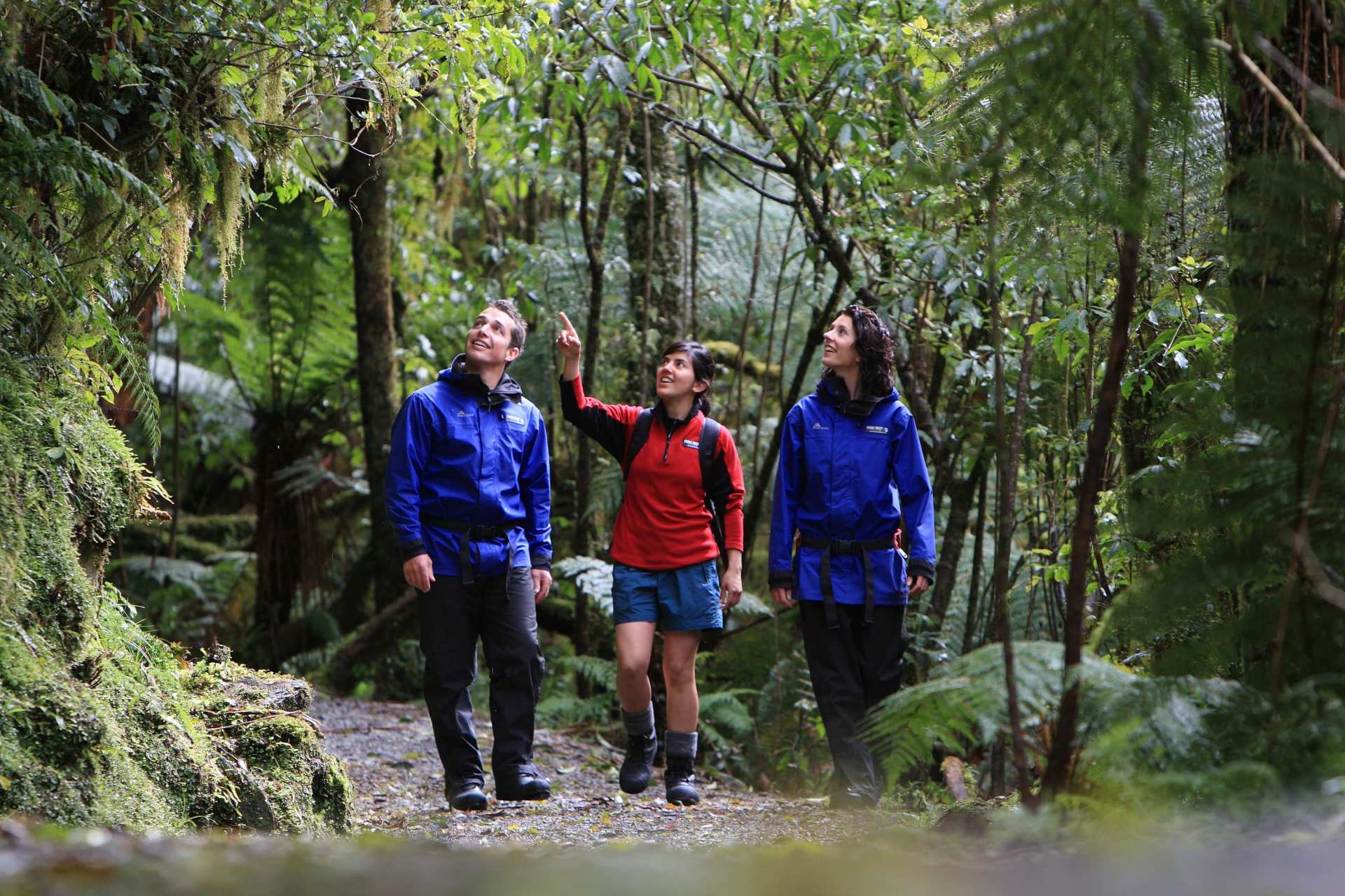  【紐西蘭南島自然冒險】弗朗茲約瑟夫冰川雨林步道徒步導覽＋冰川溫泉體驗券 