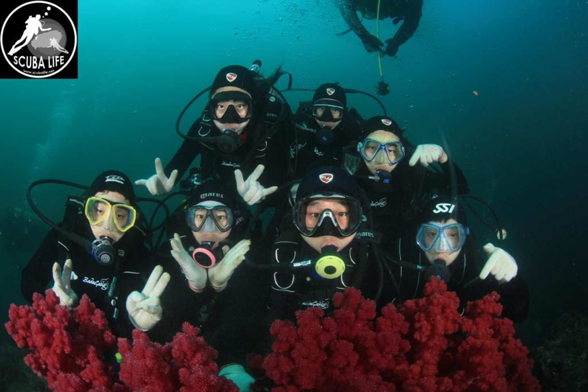  【探索海底世界】濟州島潛水體驗 
