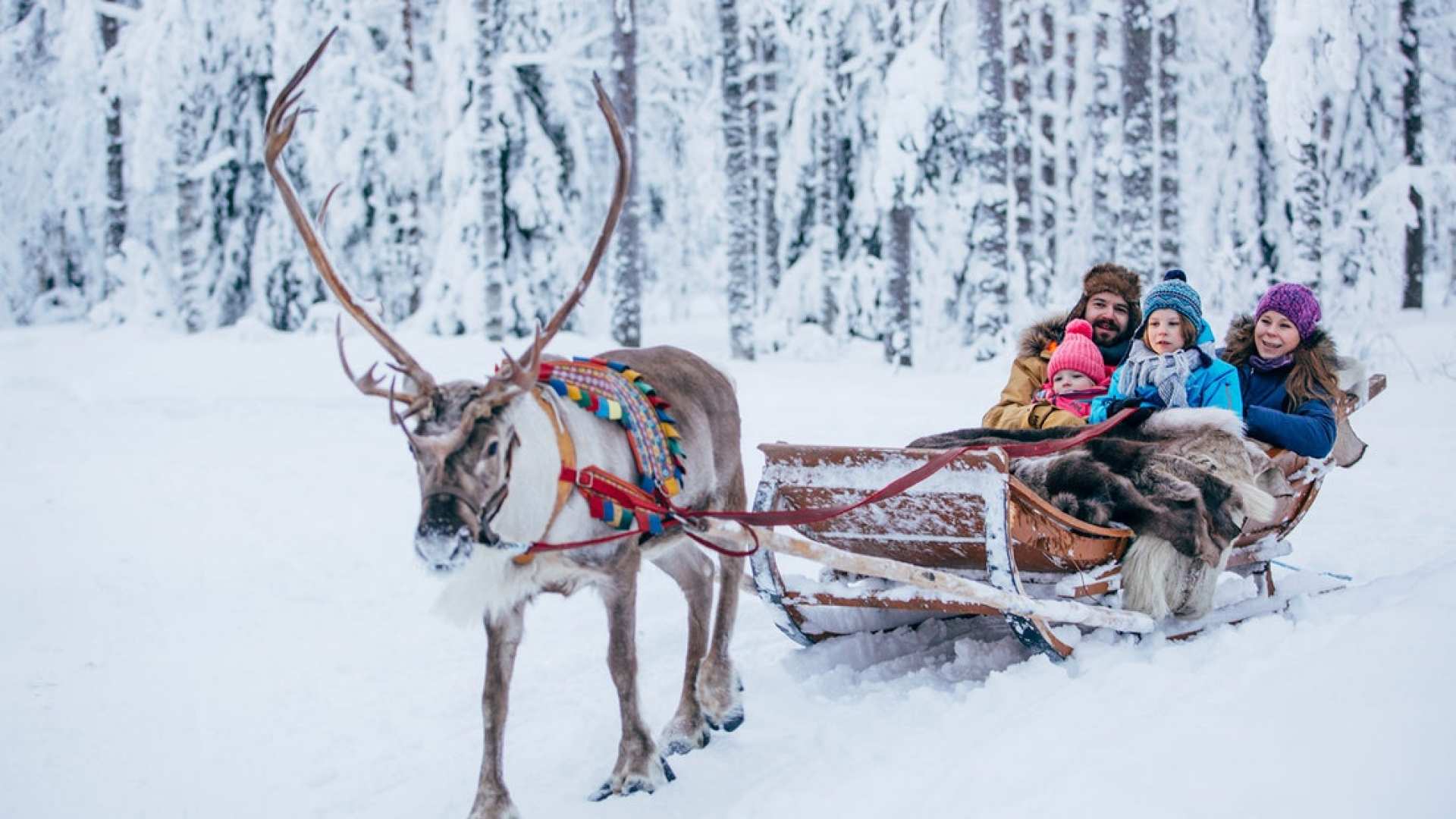  【芬蘭馴鹿雪橇探險之旅】北極圈森林馴鹿雪橇體驗＋馴鹿牧場＋拉普蘭特色小吃半日遊 