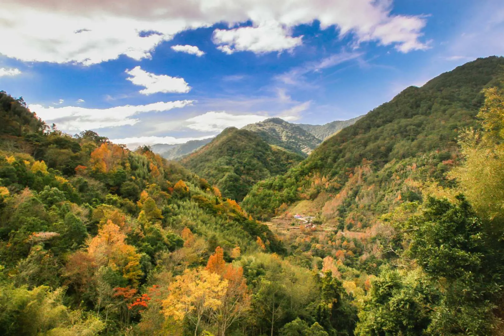 新竹尖石｜司馬庫斯一日遊｜台北/新北/新竹出發