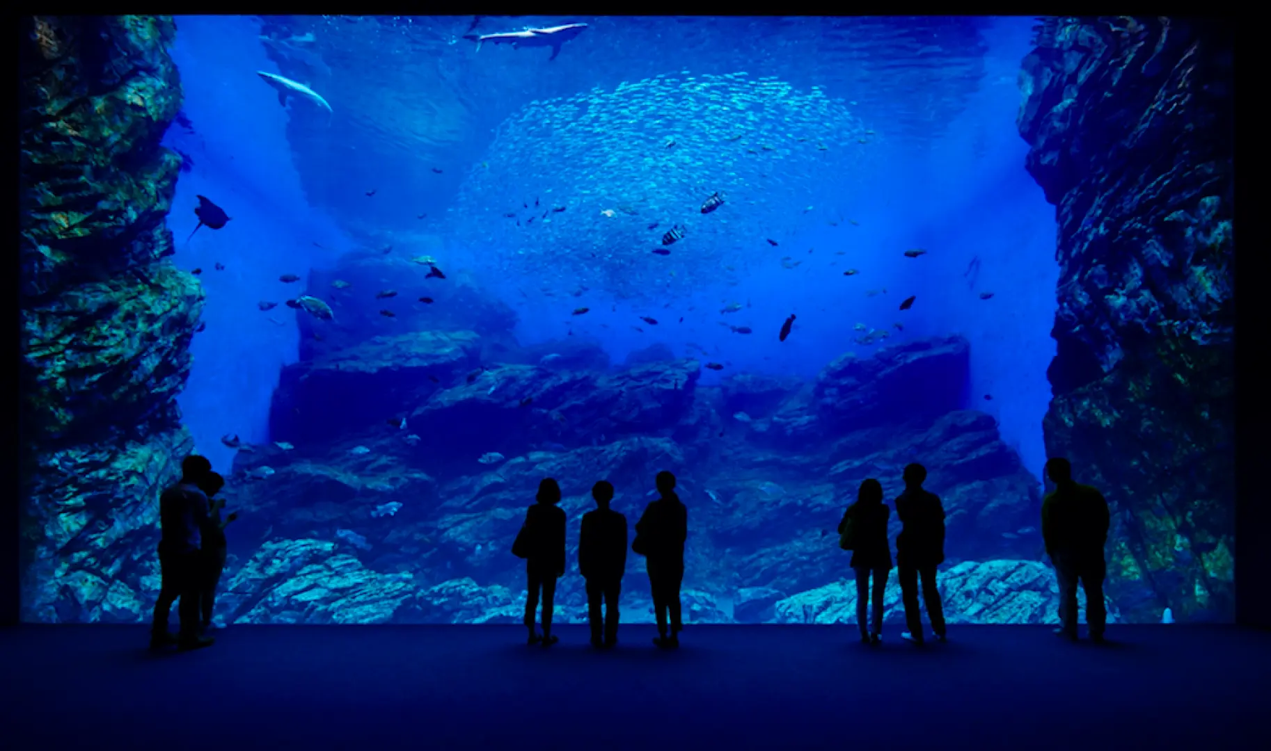 仙台海洋森林水族館