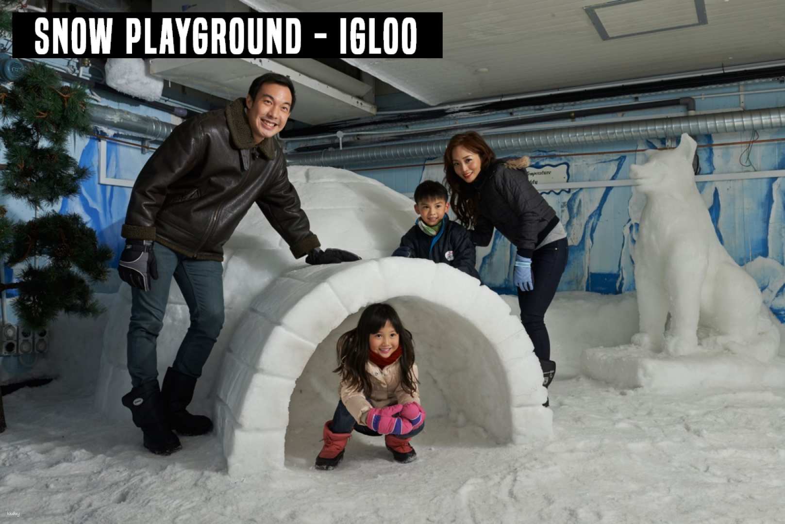 Snow City Singapore: [Open Date] 1-Hour Snow Play Session & Ice Hotel Gallery