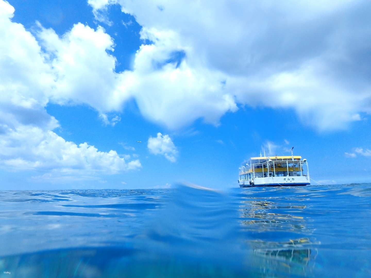 【日本】沖繩｜那霸大型水中觀光船Orca號 | 船票