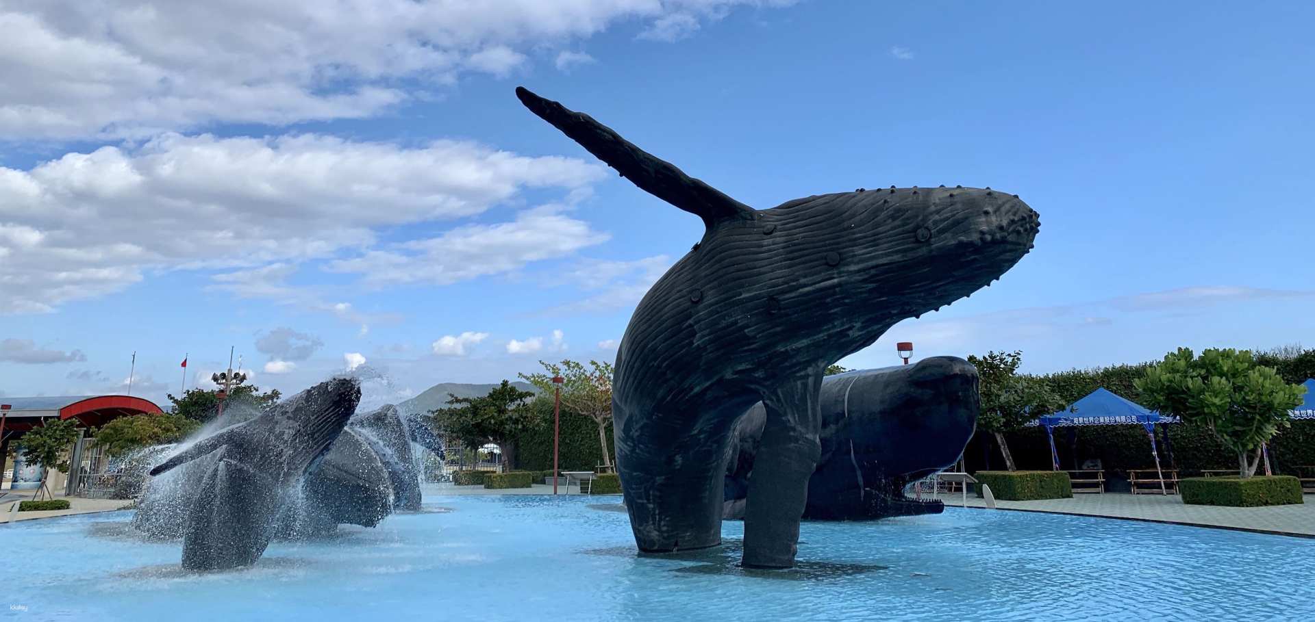 7% Off Kenting Aquarium Admission Ticket Taiwan. 