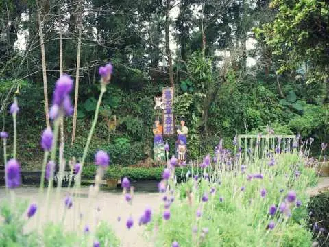 台中私藏景点 台中 租车自驾一路眺望高山 享受自然 亲水 休闲生活美景 严选超过8个适合网美必去打卡景点 立法院民主议政园区议员会馆 议芦会馆 与帝国制糖厂台中营业所等