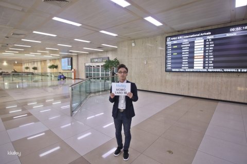 Incheon International Airport (ICN) to Seoul: Private Car Transfer Service | Korea