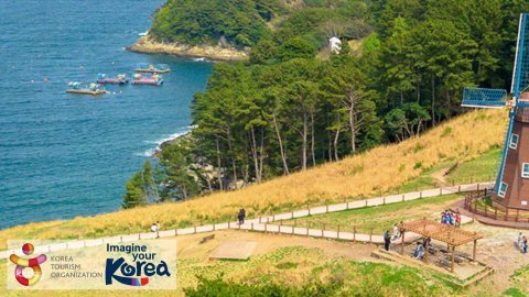 Geoje Island Day Tour from Busan: Windy Hill, Oedo Island, and Geoje Panorama Cable Car | South Korea