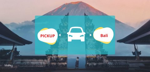 All-In Bali Private Car Charter (Child Seat Available)