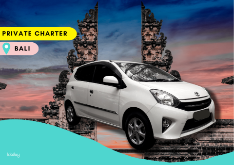All-In Bali Private Car Charter (Child Seat Available)