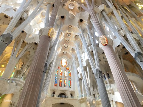 Barcelona Day Tour |  Gaudí Houses and Sagrada Familia | Asian languages speaking guide