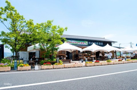 Kumamoto Day Tour with Lunch Buffet: Josaien, Mount Aso, Kumamoto Castle &amp; Kusasenrigahama｜Japan