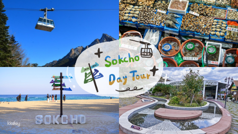 Gangwon 1-Day Tour: Sokcho Beach, Cheoksan Footbath Park, Seoraksan Cable Car, Tourist Fisheries Market (Departure from Seoul) | South Korea
