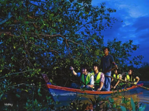 Kuala Selangor Fireflies Park Boat Ride | Selangor, Malaysia