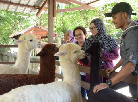 Farm In The City Day Pass Ticket | Selangor