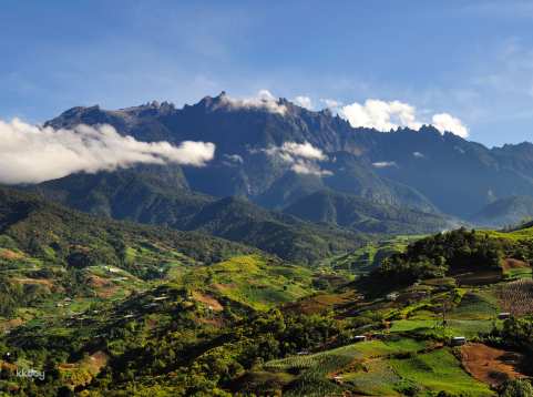 Kundasang : Poring Hot Spring, Canopy Walkway, Desa Cow Farm and Kinabalu Park Shared Day Tour with Lunch | Sabah, Malaysia