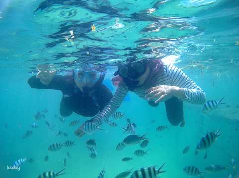Bintan Snorkelling Tour with Lunch| Indonesia