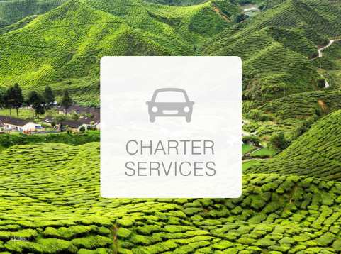 Private Charter: Cameron Highlands 12 Hours Day Tour (Depart from Kuala Lumpur) | Malaysia