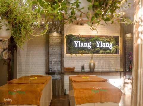 Ylang Ylang Massage with Pick-up Or Drop-off Service in Da Nang | Vietnam