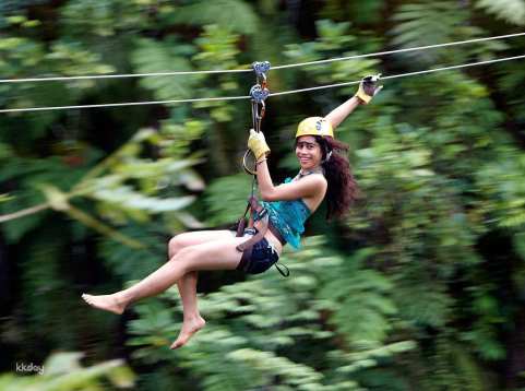 Ubud: Half-Day Zipline and Jungle Swing Adventure With Private Transfer in Bali | Indonesia
