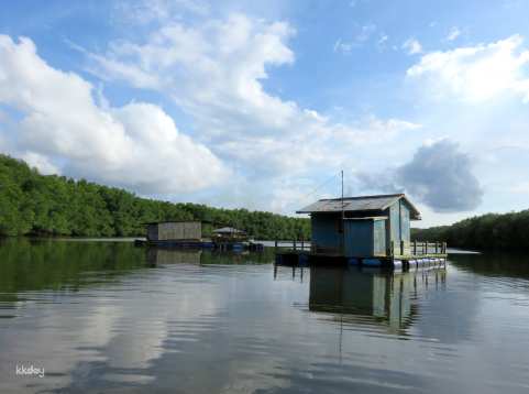 Family Friendly Sungai Lebam River Cruise Half Day Tour with Desaru Coast Hotel Transfer | Johor, Malaysia