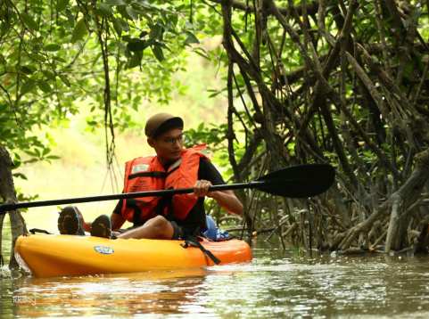 Lebam River Kayaking Adventure with Local Seafood Lunch and Desaru Coast Hotel Transfer | Johor, Malaysia