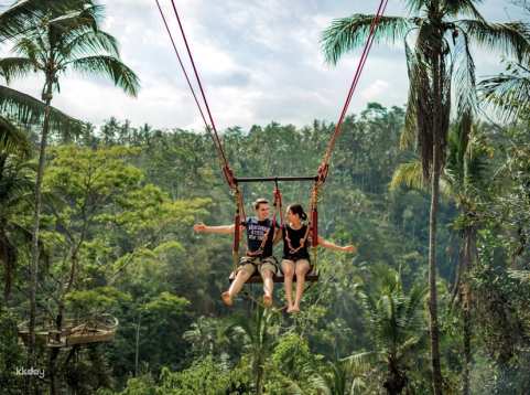 Ubud: Monkey Forest Sanctuary and Jungle Swing Private Tour | Bali, Indonesia