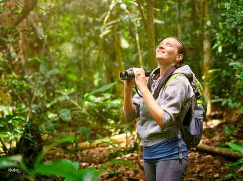 Bali Nature Expedition: Full-Day Bird Watching Experience | Indonesia