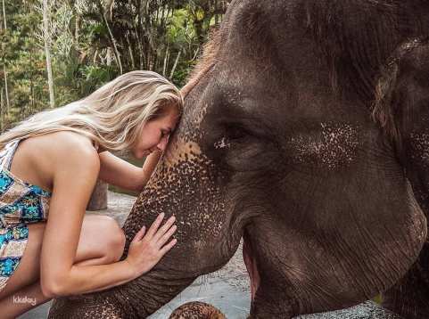 Mason Elephant Park Admission Ticket | Bali Indonesia