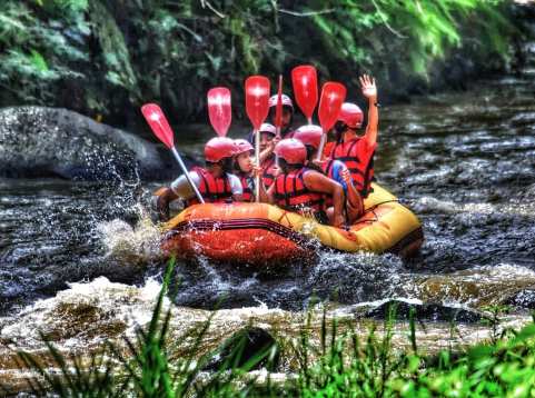 Ayung River Rafting Adventure with Lunch & Optional Hotel Transfer | Bali
