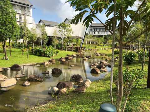 The Riverside Garden Walking Tour with Desaru Coast Hotel Transfer | Johor, Malaysia