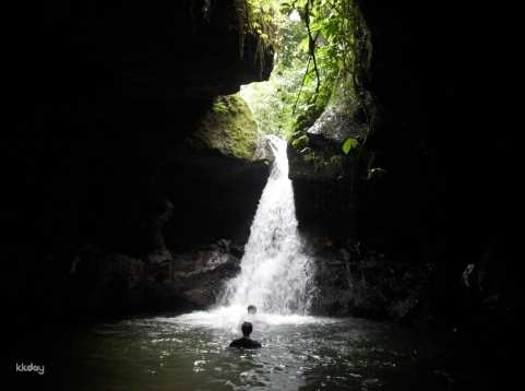 Lombok Eco-Tour: Tetebatu Rice Terrace, Waterfall & Monkey Forest | Indonesia