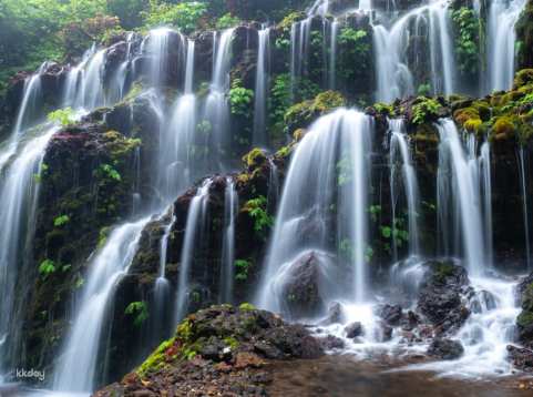 Munduk Waterfall Trek: Banyu Wana & Sekumpul with Optional Lunch | Indonesia