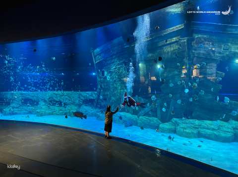 Lotte World Aquarium | Hanoi