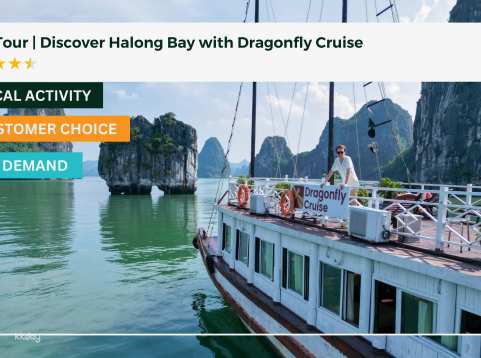 Day Tour | Discover Halong Bay with Dragonfly Cruise