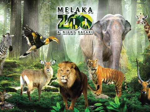 Zoo Melaka Admission Ticket | Malaysia