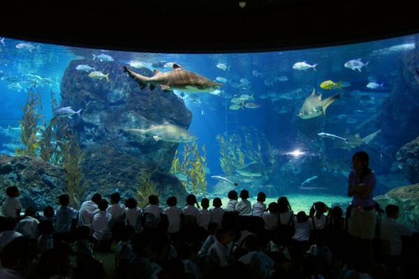 【【曼谷景點套票】暹羅海洋世界＋曼谷杜莎夫人蠟像館