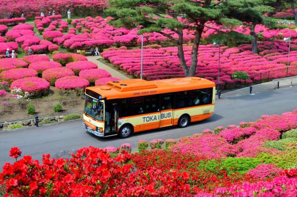 東海バスフリーきっぷ 伊東 伊豆高原2日券(静岡県 伊東市)