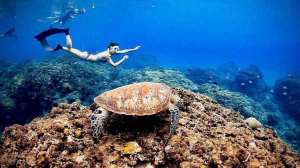 Kenting|Wanlitong Secret Land SUP Stand Up Paddling + Snorkeling